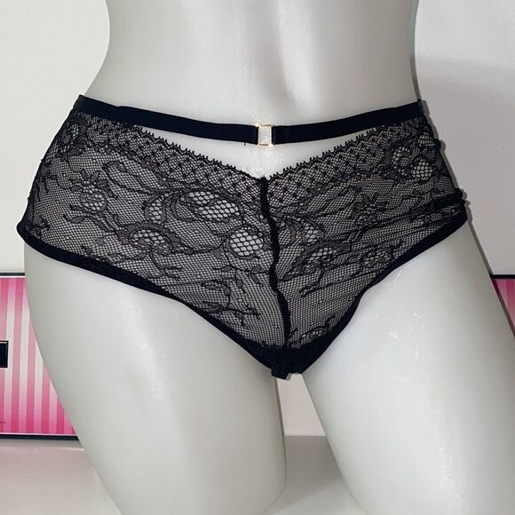 🔥VICTORIA SECRET PANTY cheeky New - Picture 3 of 3